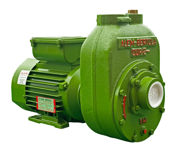ALEM BERTOLA DUR Su Pompası 1.5 Hp Monofaze 220 Volt