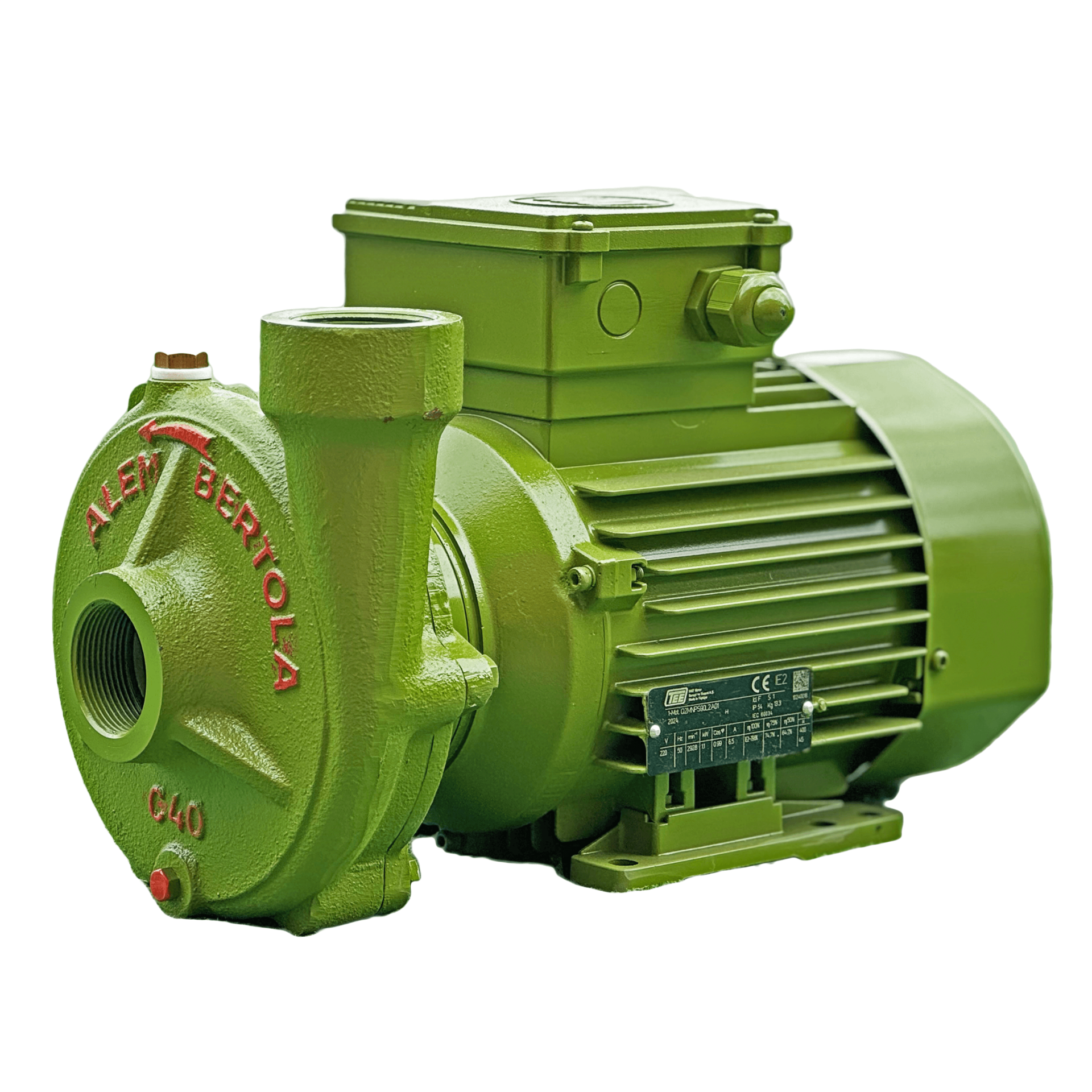 ALEM BERTOLA C40 Bahçe Su Pompası 2 Hp 220 Volt Monofaze