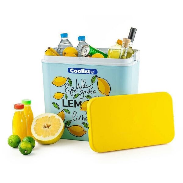 COOLIST CLB24LM 2 Adet 400 Gr Buz Kaseti + 24 Litre Limon Desenli Buzluk