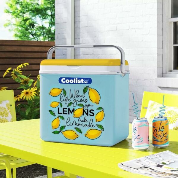 COOLIST CLB24LM 2 Adet 400 Gr Buz Kaseti + 24 Litre Limon Desenli Buzluk