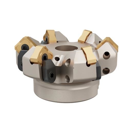 Heikenei Sn.. 1206 Krly Tarama Başlığı