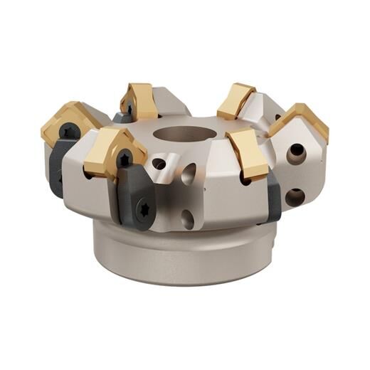 Heikenei Sn.. 1206 Krly Tarama Başlığı