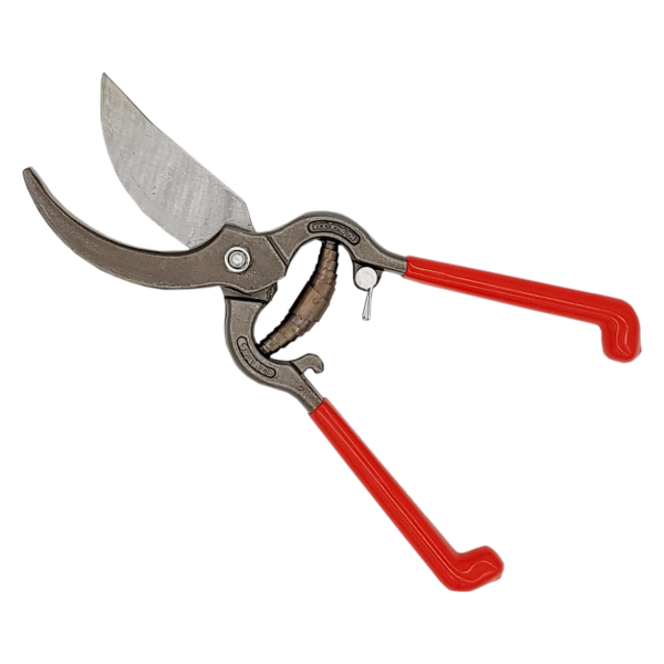 IZELTAŞ Doğada Seti 3 Parça