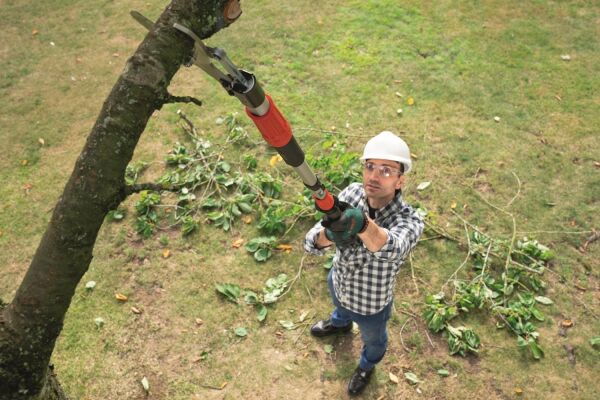BOSCH AdvancedPrune 18V-45 Akülü Teleskopik Dal Budama Makası(Akü ve Şarj Aleti Hariç)